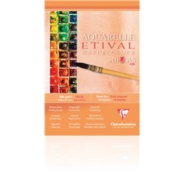 Blocchi Claire Fontaine Etival Study A5 10 F 300G