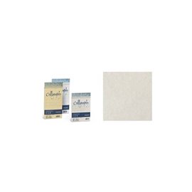 Buste Calligraphy Pergamena