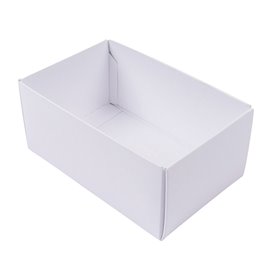 Buntbox Scatole L Base 24 pz.