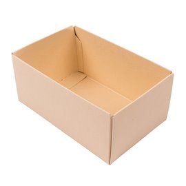 Buntbox Scatole L Base 24 pz.
