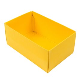 Buntbox Scatole L Base 24 pz.