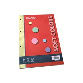 Ricambi 4 fori Favini A4 Color Ass. 100 ff 5 mm