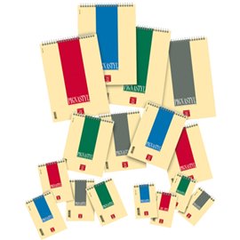 Notes Pignastyl Spirale A5
