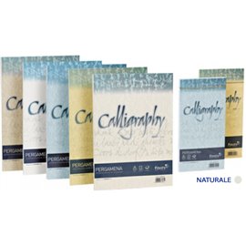 Buste Calligraphy Pergamena