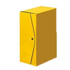 Scatola Progetti Acco dorso 10