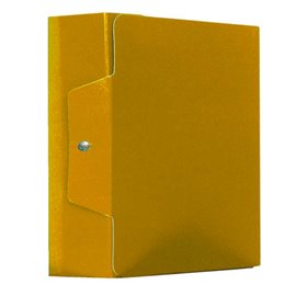 Scatola Progetti Acco dorso 15