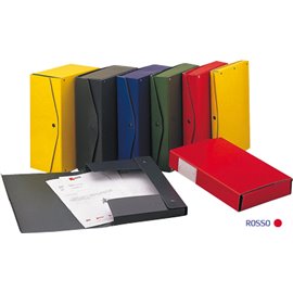 Scatola Progetti Acco dorso 15