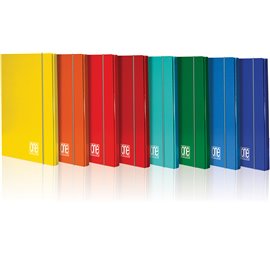 Cartelle con elastico Blasetti 1.2 One Color Forti