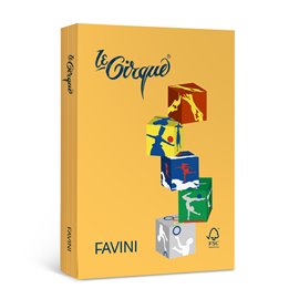 Carta Le Cirque Col. Forti gr.160 A4 250 ff
