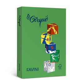 Carta Le Cirque Col. Forti gr.160 A4 250 ff