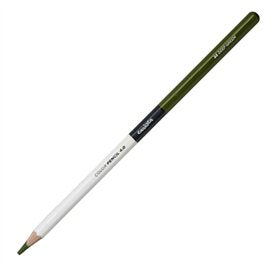 Carioca Plus Color Pencil 23 Deep green 12 pz.