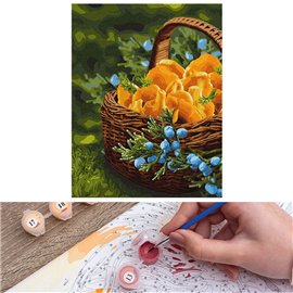 Painting numbers 40x50 Sun in the basket КНО5602