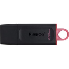 Chiavetta USB Kingston Data Traveler 256 GB 3.2