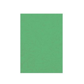 Cartoncino Similpelle A4 230 gr/mq Verde 100 ff