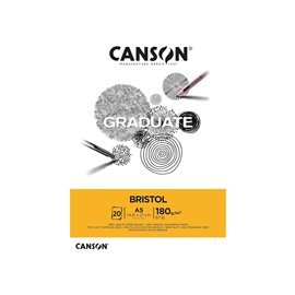 Blocchi Canson Graduate Bristol A5 20F 180 gr.