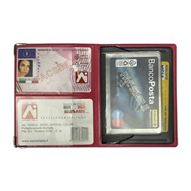 Porta Card Alplast 1004-FLY Multicard Basic in expo