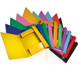 Cartelle con elastico Memotak Standard 34x24 50 pz. Assortite