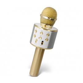 TF Microfono Bluetooth Speaker Forever BMS-300