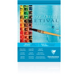 Blocchi Claire Fontaine Etival Study A5 10 F 200G